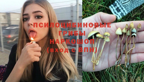 мяу мяу мука Белоозёрский