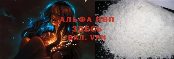 индика Балахна