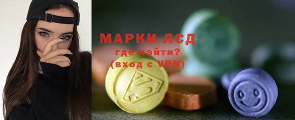 индика Балахна