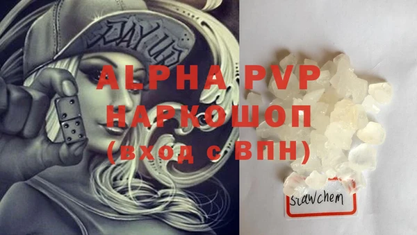 a pvp Белокуриха