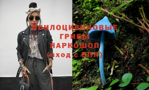 индика Балахна
