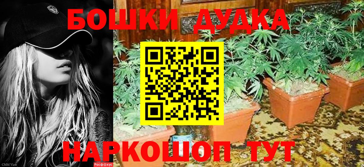 Конопля индика Луховицы